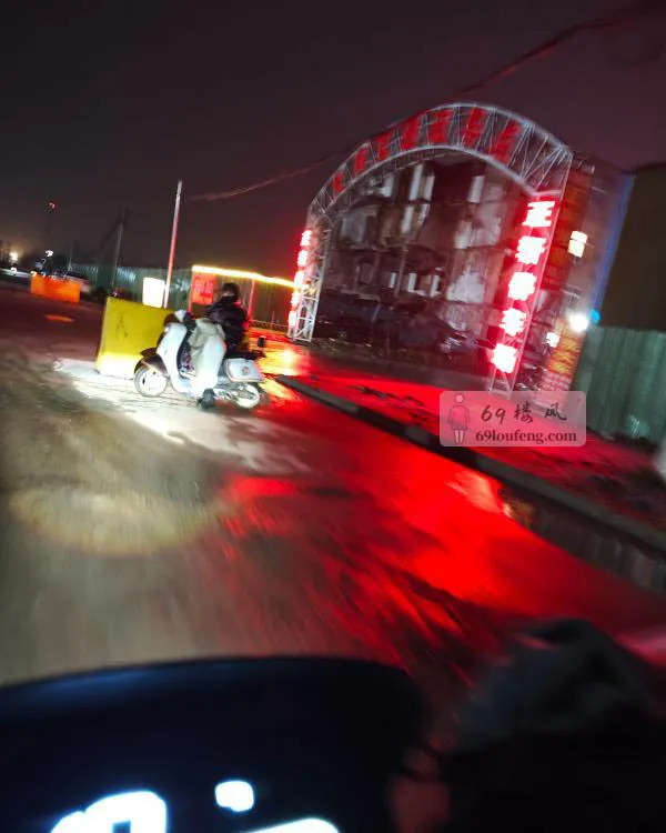 惠济区路边春色 - 河南-郑州 楼凤实拍第1张