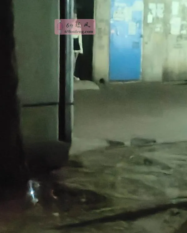 工业园暗巷 - 湖北-武汉 楼凤实拍第2张