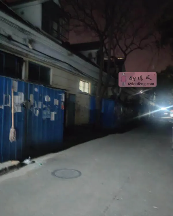 工业园暗巷 - 湖北-武汉 楼凤实拍第4张
