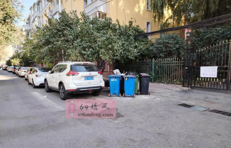 文府街旁暗巷 - 黑龙江-哈尔滨 楼凤实拍第3张