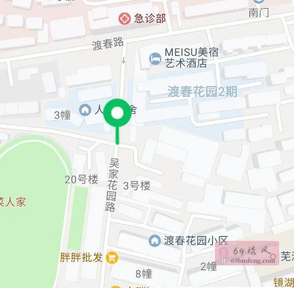 吴家花园路 - 安徽-芜湖 楼凤实拍第1张