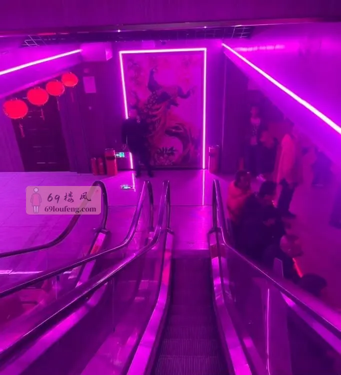 鞍山舞厅体验2 - 辽宁-鞍山 楼凤实拍第1张