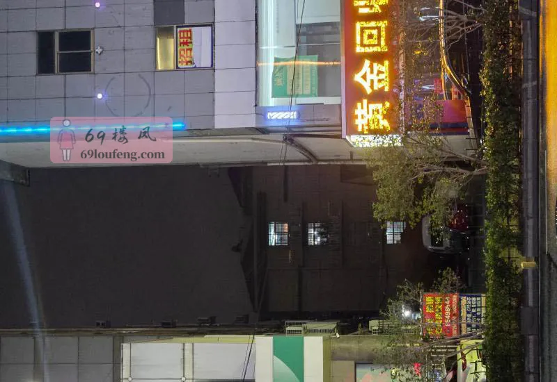 南京小巷子 - 江苏-南京 楼凤实拍第3张