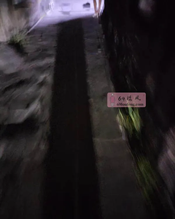 布吉站街 - 广东-深圳 楼凤实拍第2张