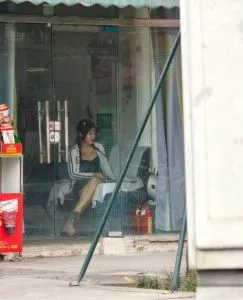 双流游击队 巷子 四川-成都