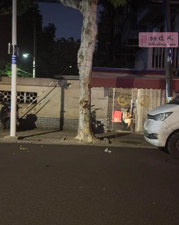 梁溪区扫街 - 江苏-无锡 楼凤实拍第2张