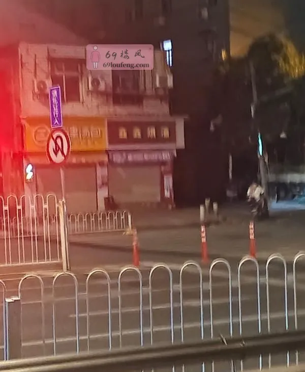 武汉漫游 - 湖北-武汉 楼凤实拍第3张