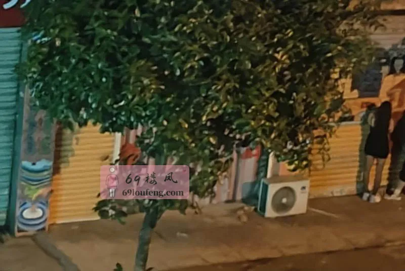 温江游击队 - 四川-成都 楼凤实拍第2张