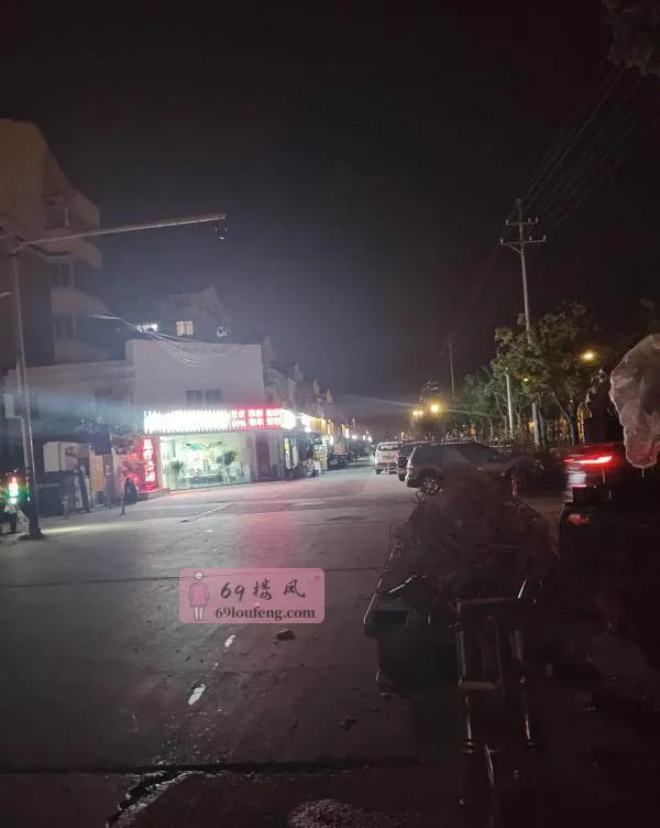 苏锡通产业园 - 江苏-南通 楼凤实拍第2张