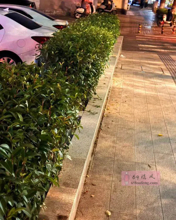 苏州极品大雷 - 江苏-苏州 楼凤实拍第4张