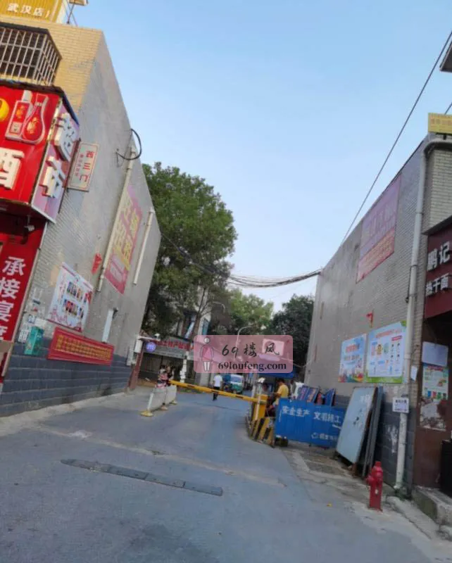 江夏社区 - 湖北-武汉 楼凤实拍第1张