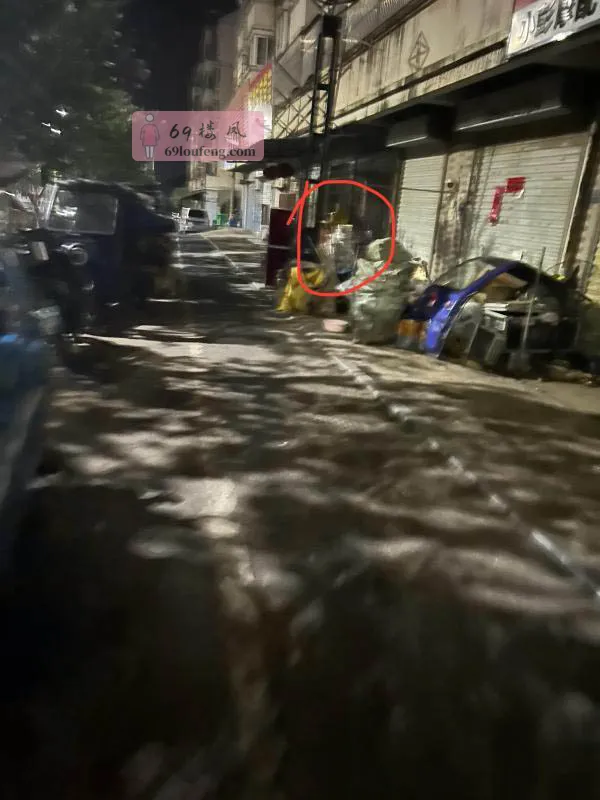 岗集第二炮 - 安徽-合肥 楼凤实拍第1张