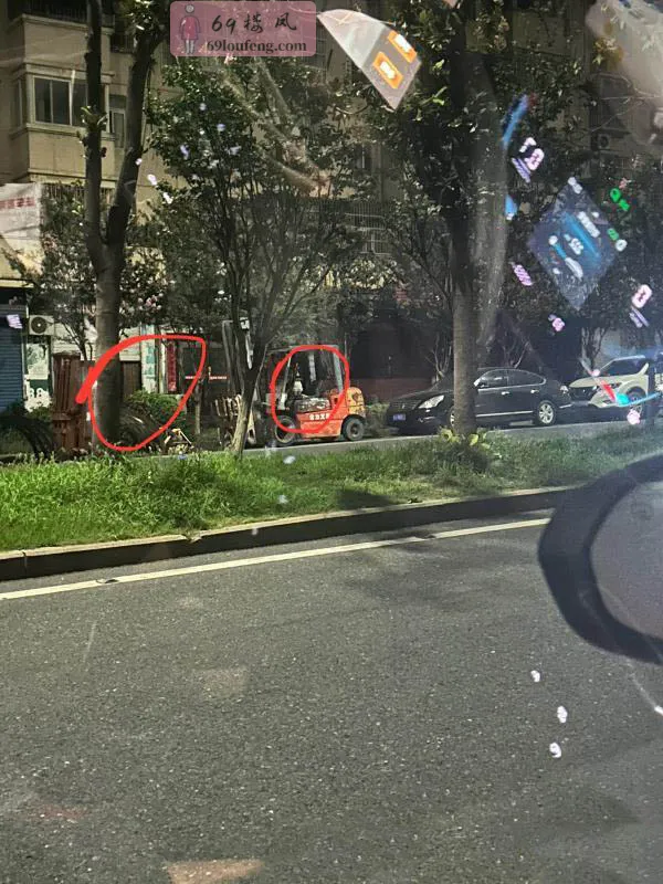 岗集第二炮 - 安徽-合肥 楼凤实拍第3张