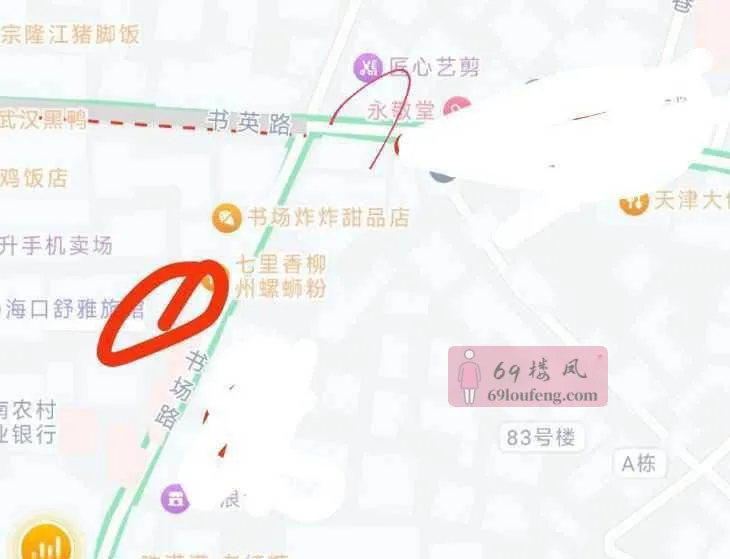 海口扫街 - 海南-海口 楼凤实拍第2张