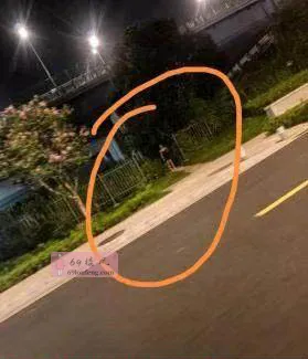 苏州野战少妇 - 江苏-苏州 楼凤实拍第2张