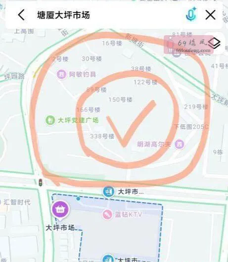 东莞塘厦站街 - 广东-东莞 楼凤实拍第1张