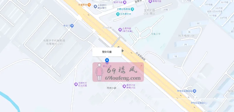 岗集老地方还有 - 安徽-合肥 楼凤实拍第2张