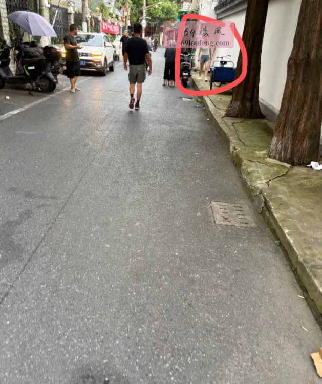 闵行站街攻略2 - 上海-闵行区 楼凤实拍第3张