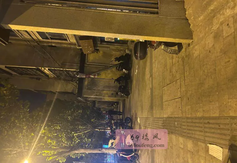 小店与电瓶车上的爱情 - 安徽-合肥 楼凤实拍第1张