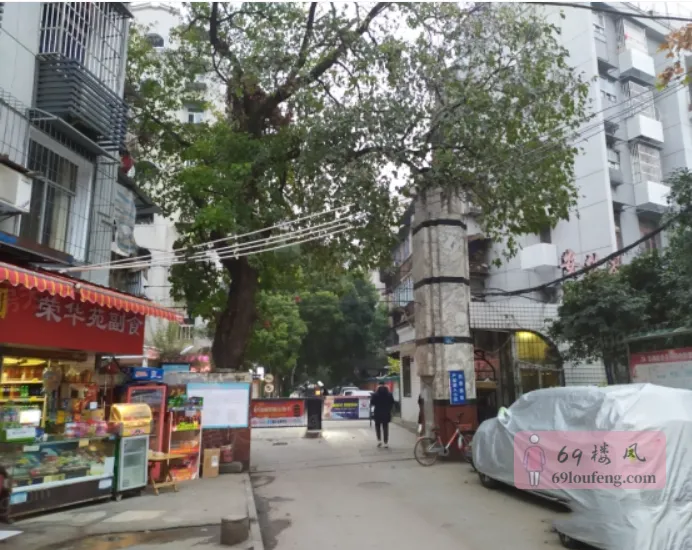 长久不衰老地方 - 湖北-武汉 楼凤实拍第1张