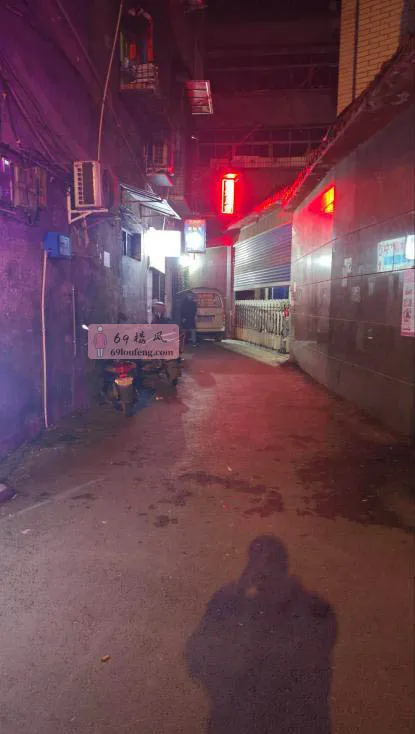 平昌小巷子 - 四川-巴中 楼凤实拍第1张