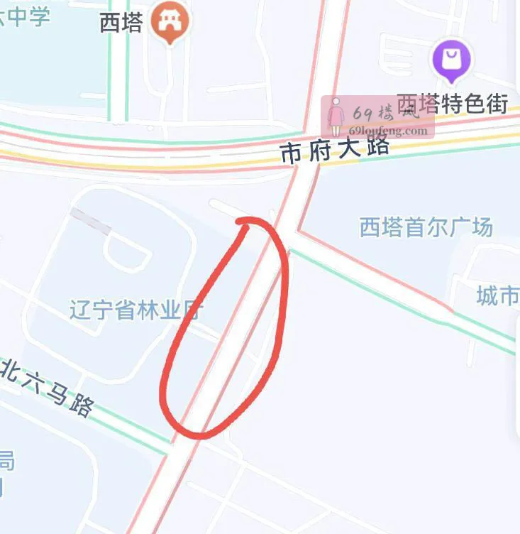 西塔站街女 - 辽宁-沈阳 楼凤实拍第2张