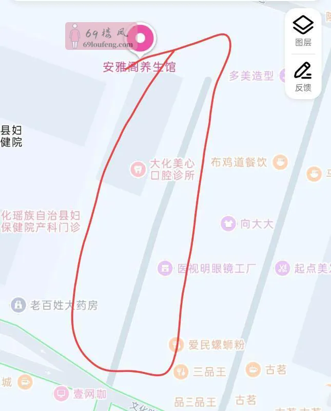 广西扫街探店熟女 - 广西-河池 楼凤实拍第2张