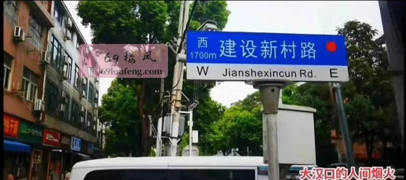 武汉新村 - 湖北-武汉 楼凤实拍第2张