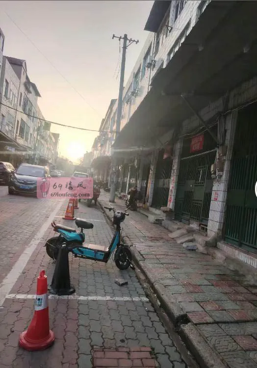 沌口站街 - 湖北-武汉 楼凤实拍第2张