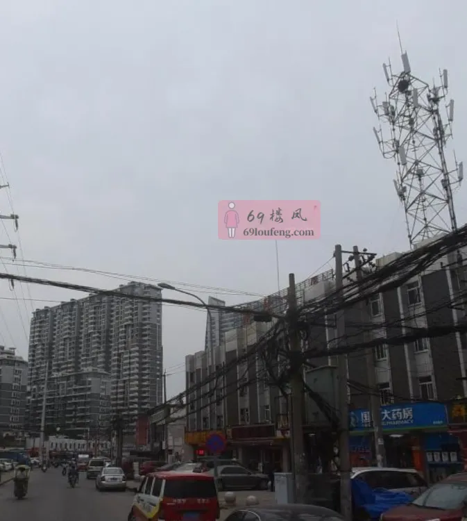 合肥周谷堆淝河路 - 安徽-合肥 楼凤实拍第3张