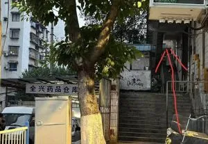 南坪 巷子 重庆-南岸区