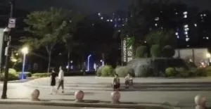 市区某公园 暗巷偷拍 浙江-嘉兴