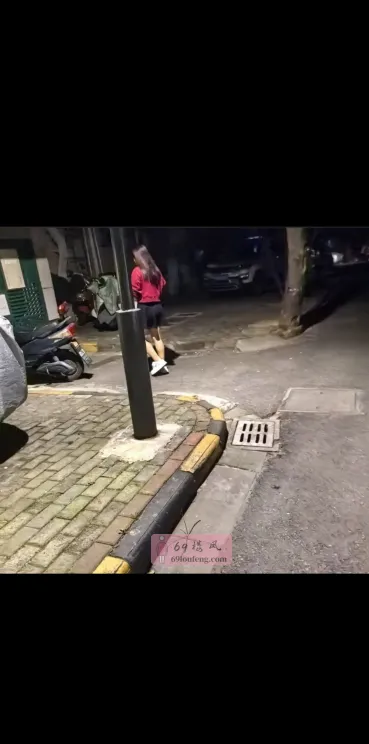 小巷子站街女 - 江苏-南京 楼凤实拍第1张