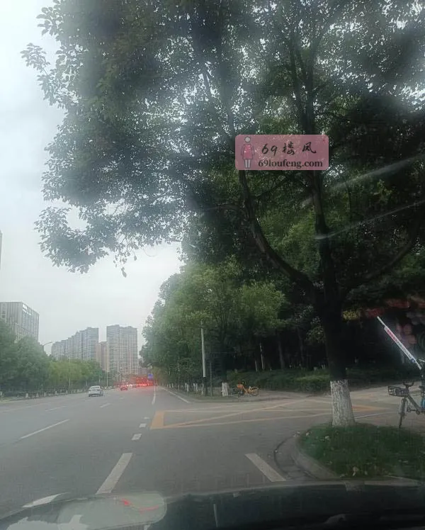 成都温江和平路 - 四川-成都 楼凤实拍第1张