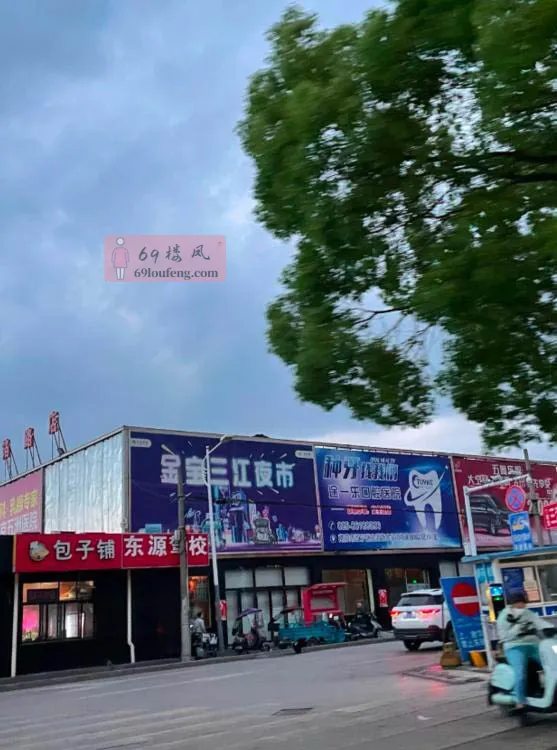 江宁上元路扫街 - 江苏-南京 楼凤实拍第2张