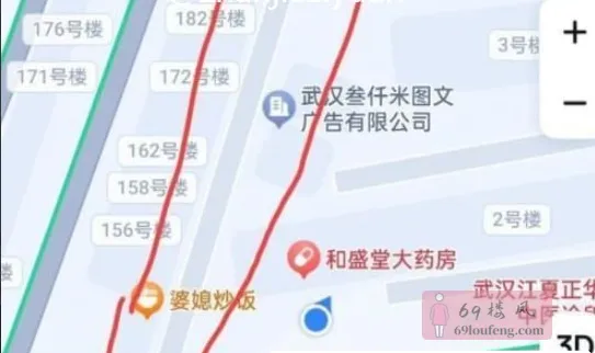 武汉江夏扫街 - 湖北-武汉 楼凤实拍第2张