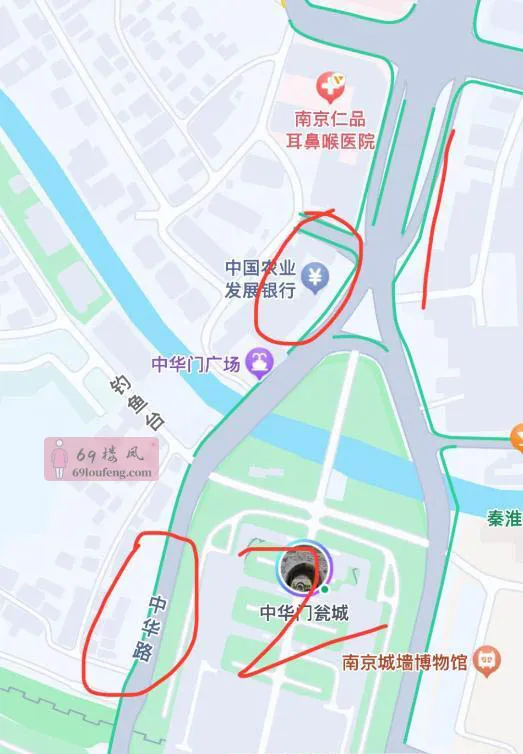 南京中华门扫街 - 江苏-南京 楼凤实拍第1张