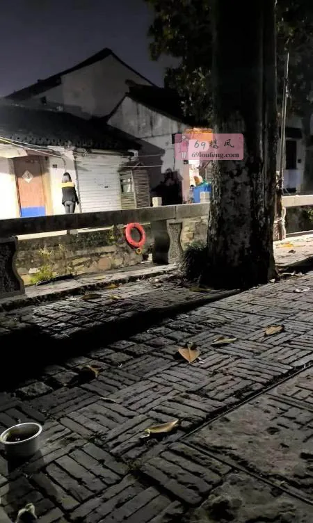 吴中区古镇 - 江苏-苏州 楼凤实拍第1张