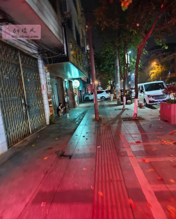 来宾市武宣县暗巷 - 广西-来宾 楼凤实拍第1张