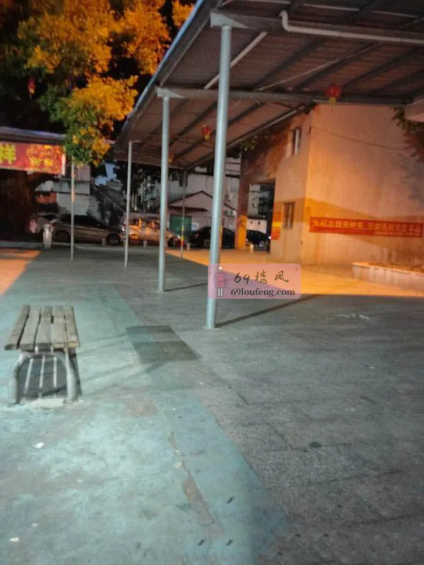 南城小巷子 - 广东-东莞 楼凤实拍第2张