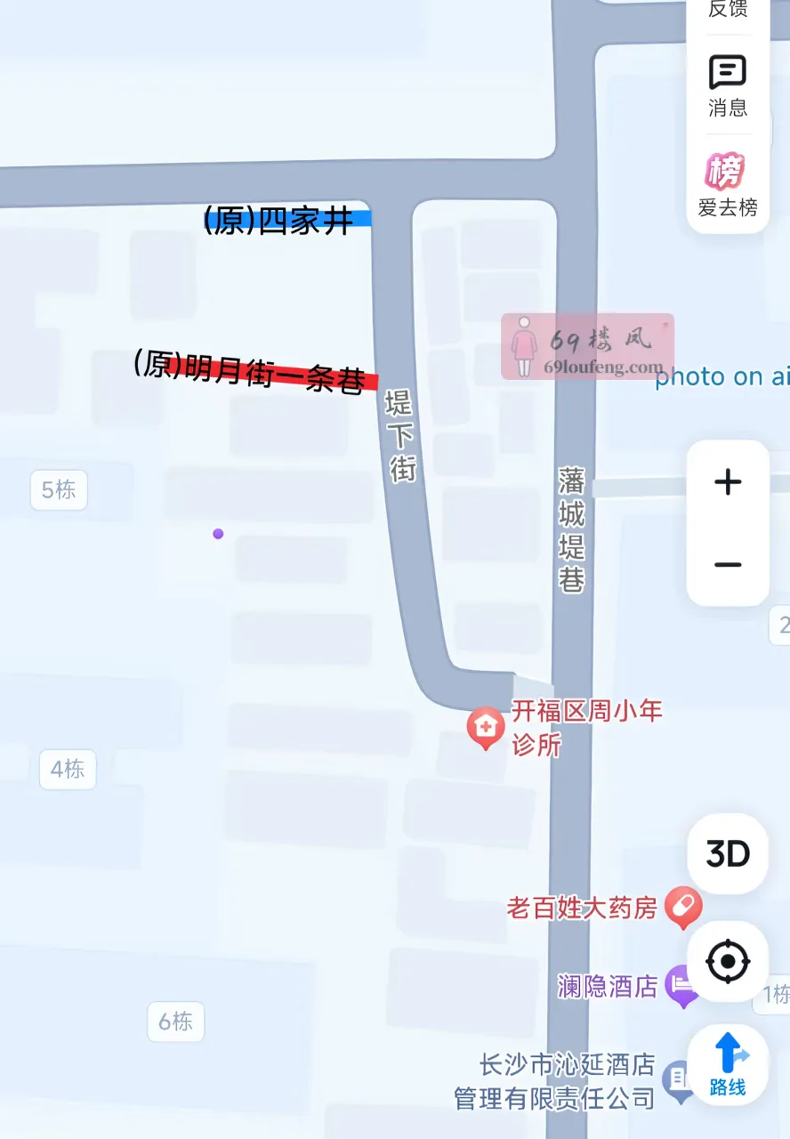 开福区堤下街 - 湖南-长沙 楼凤实拍第3张