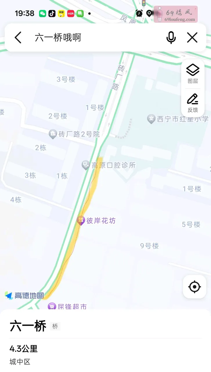 青海西宁六一桥有时候有机品 - 青海-西宁 楼凤实拍第1张