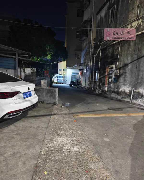 东莞石排暗巷 - 广东-东莞 楼凤实拍第1张