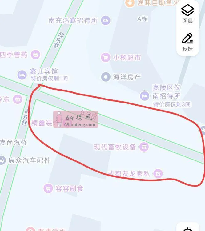 扫街南充站街女 - 四川-南充 楼凤实拍第1张