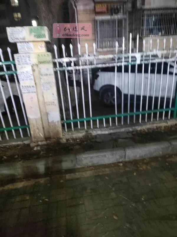 江宁殷巷 - 江苏-南京 楼凤实拍第1张