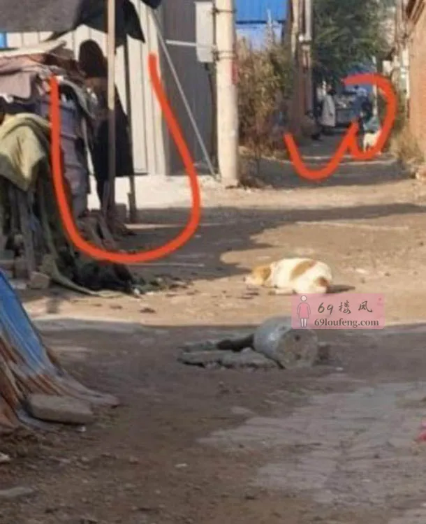 新的站街点 - 河北-廊坊 楼凤实拍第2张