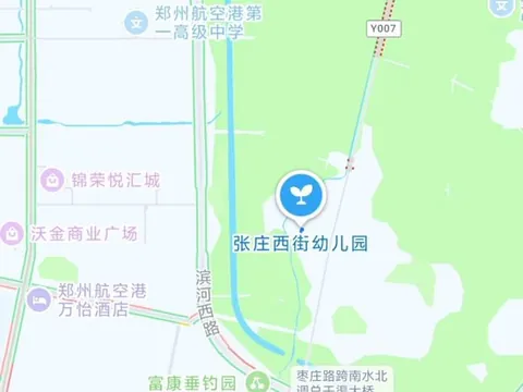 的张庄算是有名的站街圣地了 巷子 河南-郑州