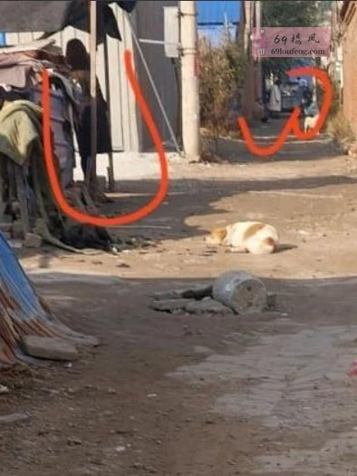 香河南街村这边最出名的地方 - 河北-唐山 楼凤实拍第3张