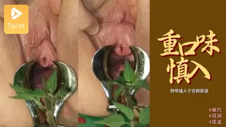 野草插入子宫和尿道，这尿道可以插入鸡吧了 - 1080P超清画质展示图