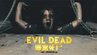 91TV高分作品推荐：邪恶的死人Evildead